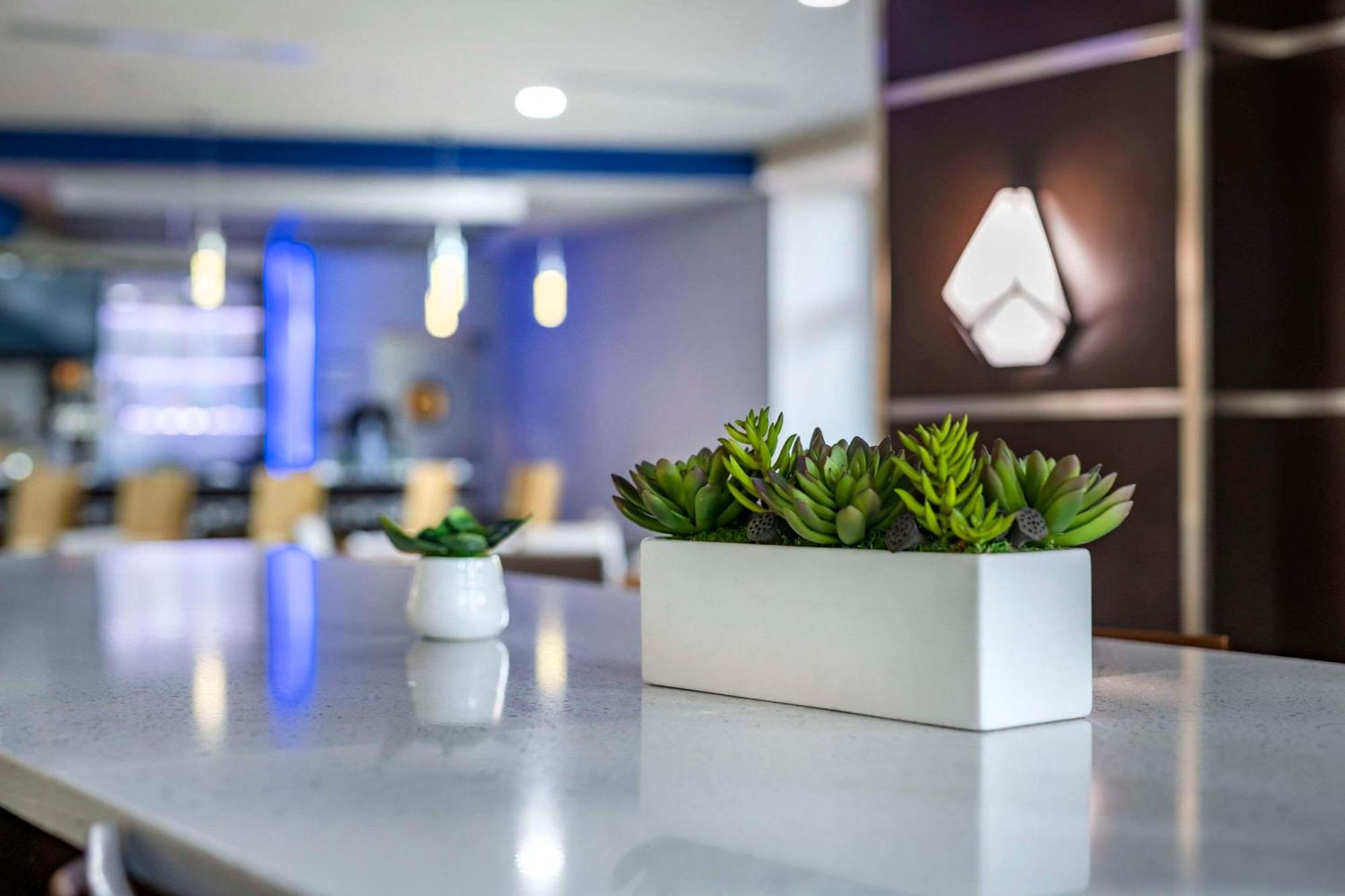 Cambria Hotel Ft Lauderdale, Airport South & Cruise Port Дания-Бич Экстерьер фото